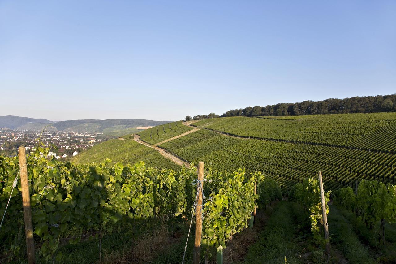 Weinquartier Burggarten Bad Neuenahr-Ahrweiler Extérieur photo